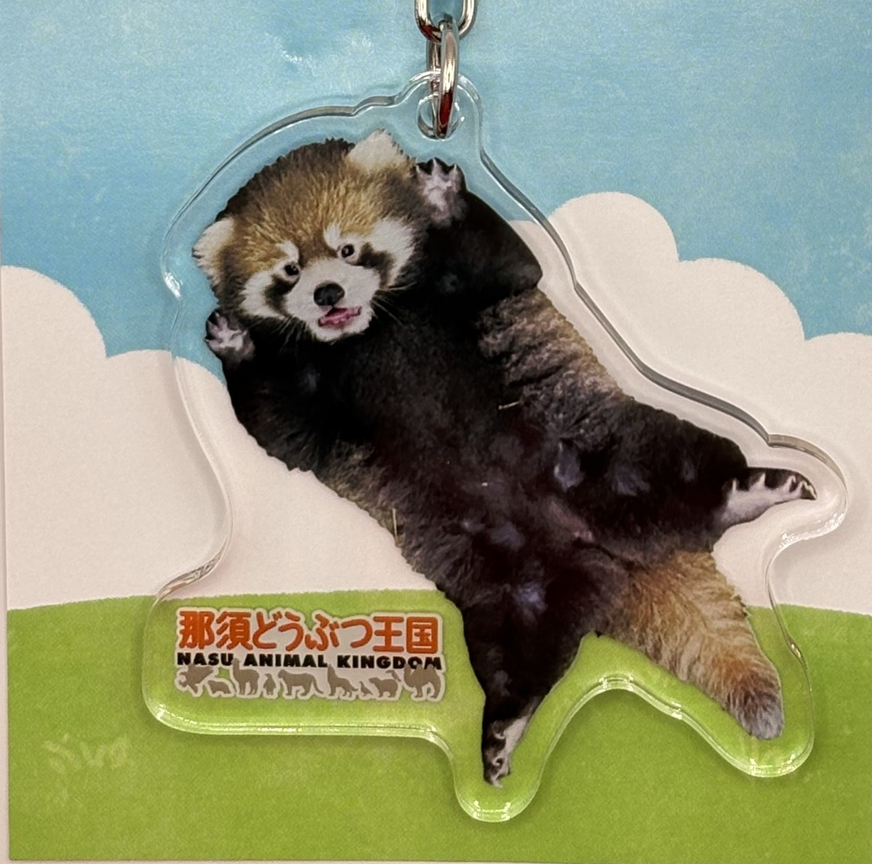 original】レッサーパンダBABYアクリルキーホルダー バンザイ | 那須